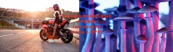 герыч Лиски