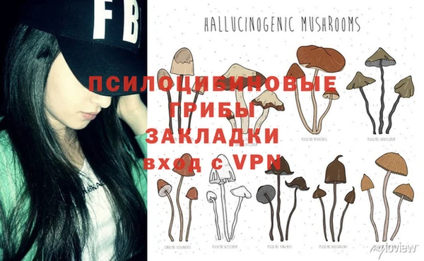 2c-b Липки