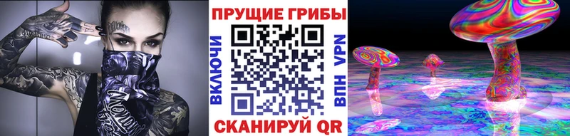 купить наркотики сайты  Томмот  Галлюциногенные грибы Psilocybe 